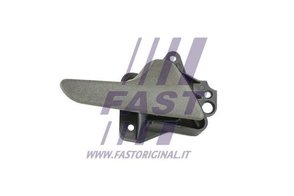 Fast FT94587 Door Handle FT94587: Buy near me in Poland at 2407.PL - Good price!