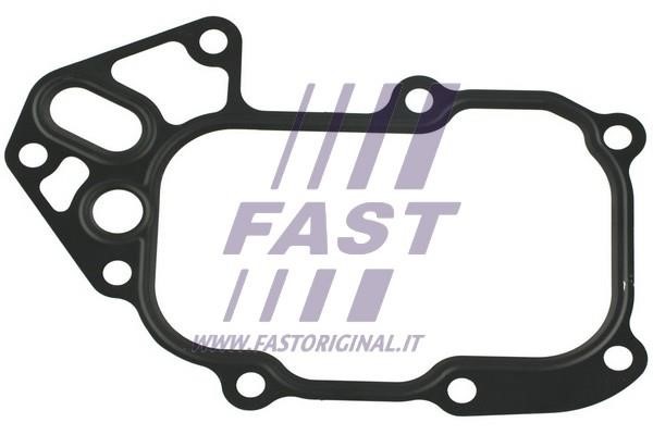 Fast FT48548 Seal, oil cooler FT48548: Buy near me in Poland at 2407.PL - Good price!