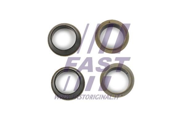 Fast FT49843 Seal Kit, injector nozzle FT49843: Buy near me in Poland at 2407.PL - Good price!