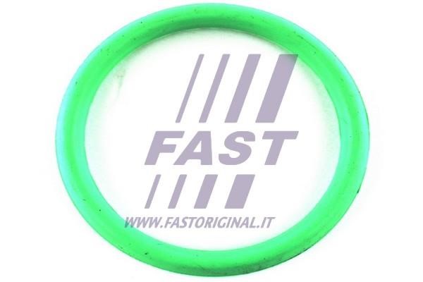 Fast FT49434 Gasket, intake manifold FT49434: Buy near me in Poland at 2407.PL - Good price!