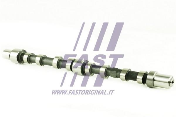 Fast FT45002 Вал распределительный FT45002: Отличная цена - Купить в Польше на 2407.PL!