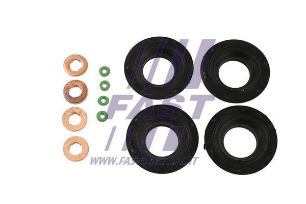 Fast FT49850 O-rings for fuel injectors, set FT49850: Buy near me in Poland at 2407.PL - Good price!