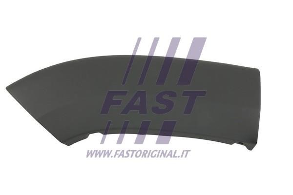 Fast FT90818 Trim/Protective Strip, wing FT90818: Buy near me at 2407.PL in Poland at an Affordable price!