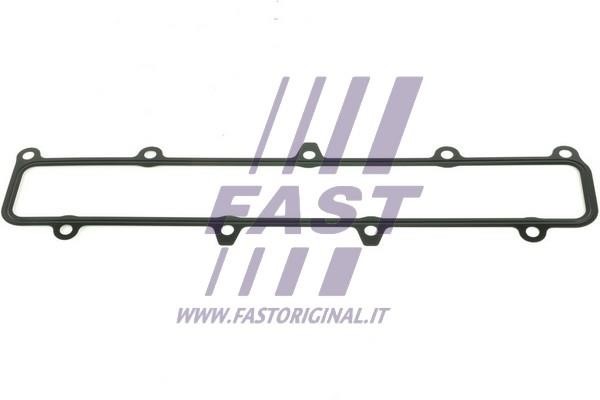 Fast FT49541 Прокладка впускного колектора FT49541: Приваблива ціна - Купити у Польщі на 2407.PL!