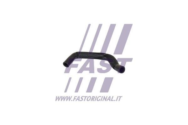 Fast FT61844 Шланг, воздухоотвод крышки головки цилиндра FT61844: Отличная цена - Купить в Польше на 2407.PL!