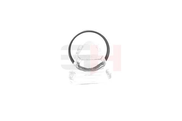 GH-Parts GH-493763 Диск датчика, ABS GH493763: Приваблива ціна - Купити у Польщі на 2407.PL!