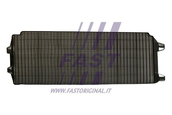 Fast FT91630 Radiator Grille FT91630: Buy near me in Poland at 2407.PL - Good price!