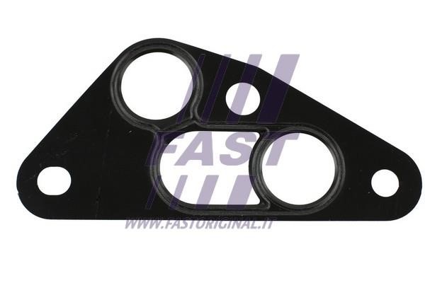 Fast FT49913 Seal, oil cooler FT49913: Buy near me in Poland at 2407.PL - Good price!