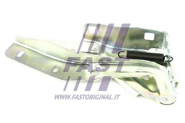Fast FT94095 Hood hinge FT94095: Buy near me in Poland at 2407.PL - Good price!