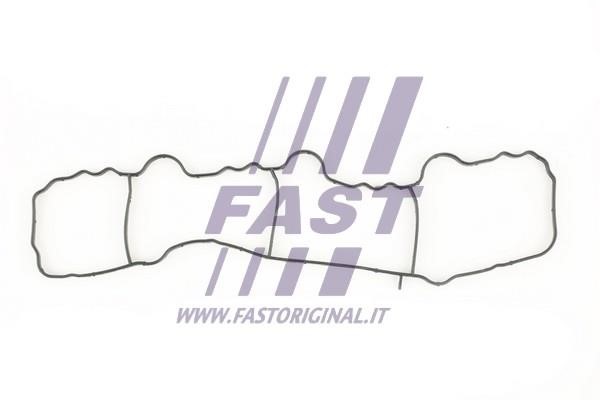 Fast FT49430 Gasket, intake manifold FT49430: Buy near me in Poland at 2407.PL - Good price!
