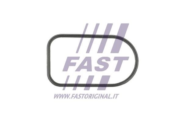 Fast FT49425 Прокладка впускного коллектора FT49425: Отличная цена - Купить в Польше на 2407.PL!