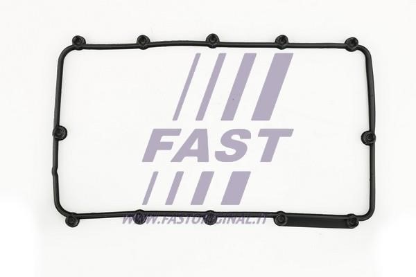 Fast FT49013 Прокладка клапанної кришки FT49013: Приваблива ціна - Купити у Польщі на 2407.PL!