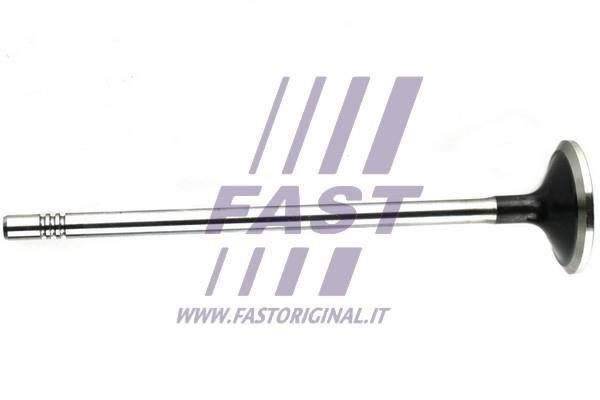 Fast FT50132 Клапан выпускной FT50132: Отличная цена - Купить в Польше на 2407.PL!