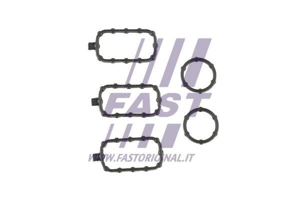 Fast FT49001 Прокладка клапанной крышки (комплект) FT49001: Отличная цена - Купить в Польше на 2407.PL!