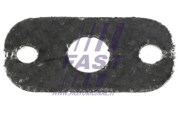 Fast FT49545 Turbine gasket FT49545: Buy near me in Poland at 2407.PL - Good price!