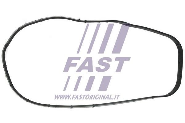 Fast FT49065 Gasket, timing case FT49065: Buy near me in Poland at 2407.PL - Good price!