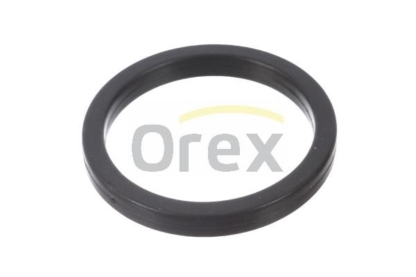 Orex 616004 Прокладка насоса охлаждающей жидкости 616004: Отличная цена - Купить в Польше на 2407.PL!