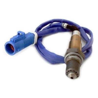 Wilmink Group WG1749013 Sensor WG1749013: Buy near me at 2407.PL in Poland at an Affordable price!