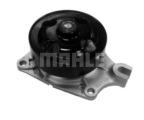 Wilmink Group WG2181704 Water pump WG2181704: Buy near me at 2407.PL in Poland at an Affordable price!