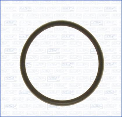 Wilmink Group WG1751264 Termostat gasket WG1751264: Buy near me in Poland at 2407.PL - Good price!