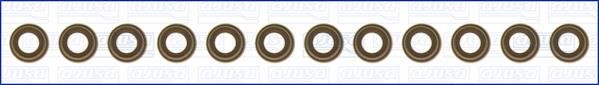 Wilmink Group WG1170008 Valve oil seals, kit WG1170008: Buy near me in Poland at 2407.PL - Good price!