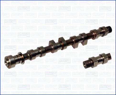 Wilmink Group WG1170895 Camshaft WG1170895: Buy near me in Poland at 2407.PL - Good price!
