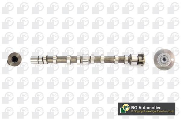 Wilmink Group WG1907187 Camshaft WG1907187: Buy near me in Poland at 2407.PL - Good price!