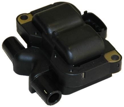 Wilmink Group WG1012195 Ignition coil WG1012195: Buy near me in Poland at 2407.PL - Good price!