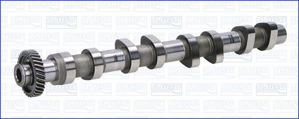 Wilmink Group WG1456835 Camshaft WG1456835: Buy near me in Poland at 2407.PL - Good price!