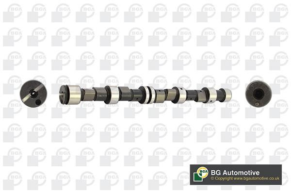 Wilmink Group WG1490585 Camshaft WG1490585: Buy near me in Poland at 2407.PL - Good price!