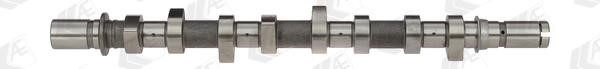 Wilmink Group WG1171980 Camshaft WG1171980: Buy near me at 2407.PL in Poland at an Affordable price!
