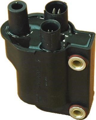 Wilmink Group WG1012362 Ignition coil WG1012362: Buy near me in Poland at 2407.PL - Good price!