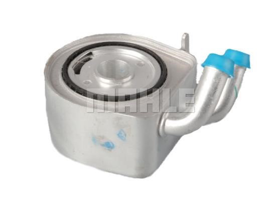 Wilmink Group WG2181261 Oil Cooler, engine oil WG2181261: Buy near me in Poland at 2407.PL - Good price!