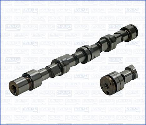 Wilmink Group WG1170890 Camshaft WG1170890: Buy near me in Poland at 2407.PL - Good price!