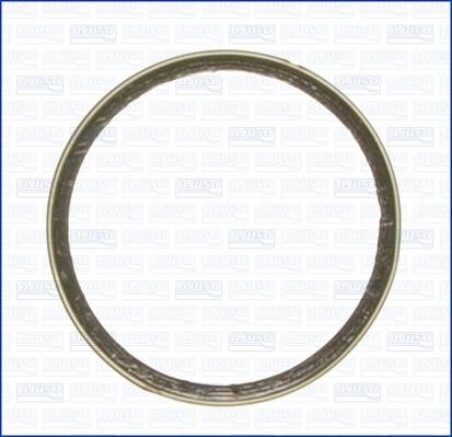 Wilmink Group WG1163697 O-ring exhaust system WG1163697: Buy near me in Poland at 2407.PL - Good price!