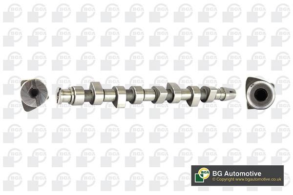 Wilmink Group WG1490570 Camshaft WG1490570: Buy near me in Poland at 2407.PL - Good price!