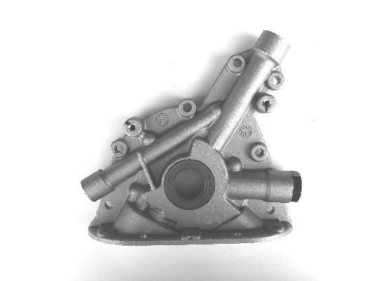 Wilmink Group WG1489755 OIL PUMP WG1489755: Buy near me in Poland at 2407.PL - Good price!