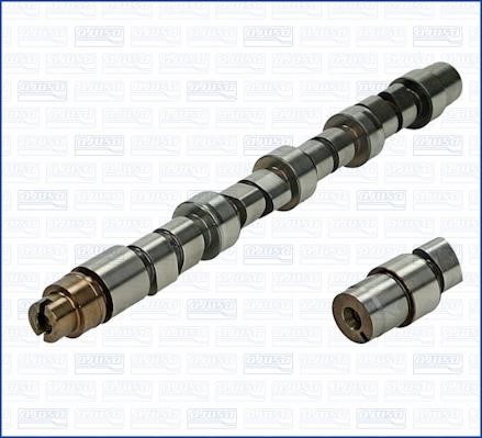 Wilmink Group WG1171517 Camshaft WG1171517: Buy near me in Poland at 2407.PL - Good price!