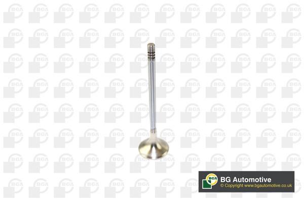 Wilmink Group WG1491411 Exhaust valve WG1491411: Buy near me in Poland at 2407.PL - Good price!
