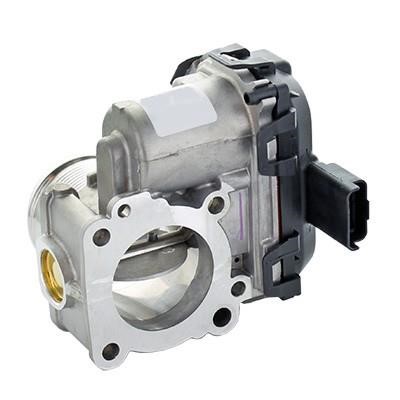 Wilmink Group WG1916378 Throttle body WG1916378: Buy near me in Poland at 2407.PL - Good price!