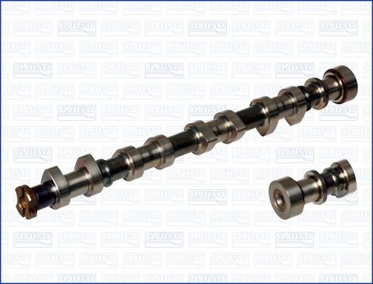 Wilmink Group WG1171212 Camshaft WG1171212: Buy near me in Poland at 2407.PL - Good price!