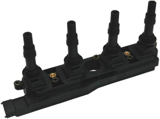 Wilmink Group WG1012226 Ignition coil WG1012226: Buy near me in Poland at 2407.PL - Good price!