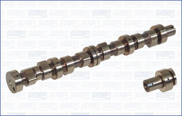 Wilmink Group WG1171317 Camshaft WG1171317: Buy near me in Poland at 2407.PL - Good price!