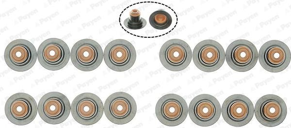 Wilmink Group WG2171417 Valve oil seals, kit WG2171417: Buy near me in Poland at 2407.PL - Good price!