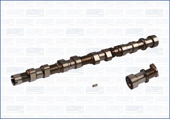 Wilmink Group WG1171618 Camshaft WG1171618: Buy near me in Poland at 2407.PL - Good price!