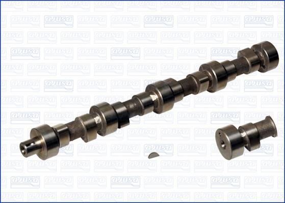 Wilmink Group WG1171421 Camshaft WG1171421: Buy near me in Poland at 2407.PL - Good price!