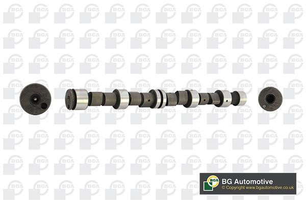 Wilmink Group WG1490496 Camshaft WG1490496: Buy near me at 2407.PL in Poland at an Affordable price!