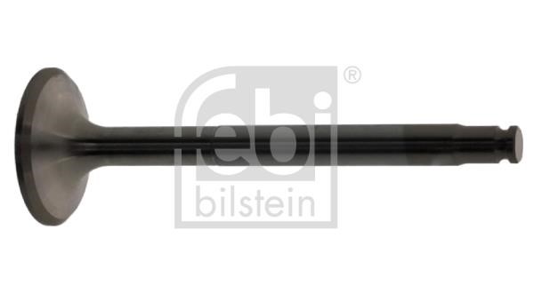 Wilmink Group WG2185880 Exhaust valve WG2185880: Buy near me at 2407.PL in Poland at an Affordable price!