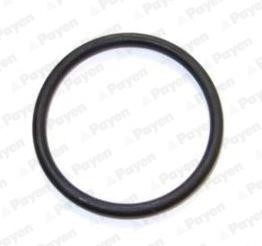Wilmink Group WG1183134 Termostat gasket WG1183134: Buy near me in Poland at 2407.PL - Good price!