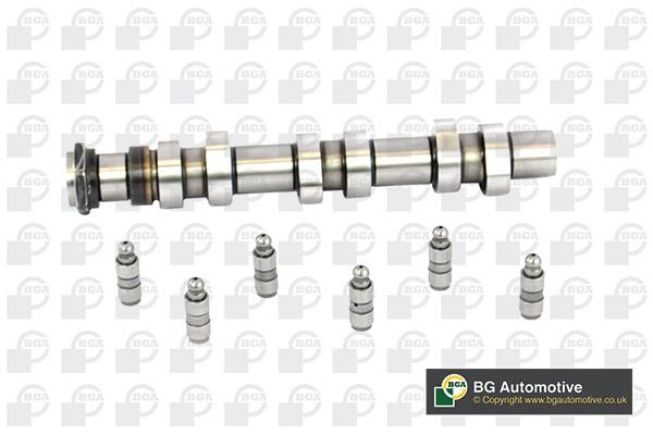 Wilmink Group WG1490604 Camshaft WG1490604: Buy near me in Poland at 2407.PL - Good price!